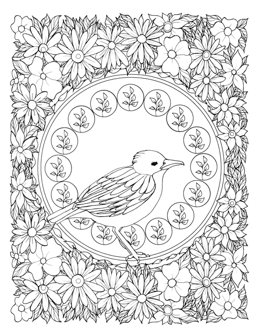Download Art Nouveau Birds A Stress Relieving Adult Coloring Book Bluestarcoloring Com