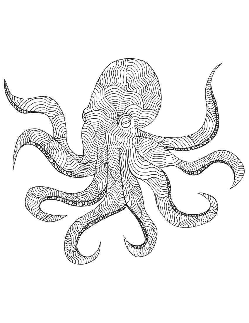 octopus coloring page